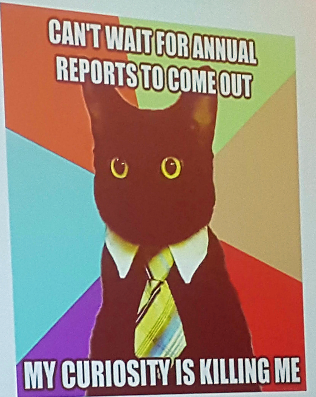 Every talk needs at least one cat image