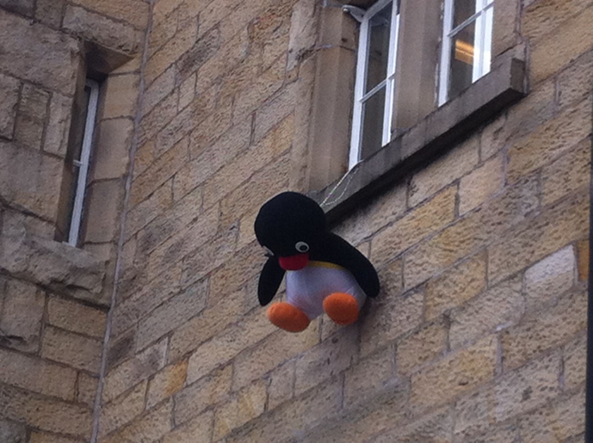 Pingu hanging from the window